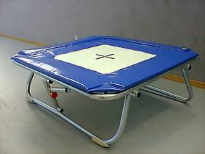 trampolin-minitramp-large.jpg