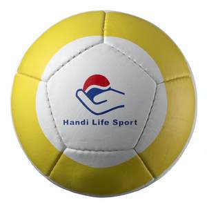 volleyball-medino-large.jpg
